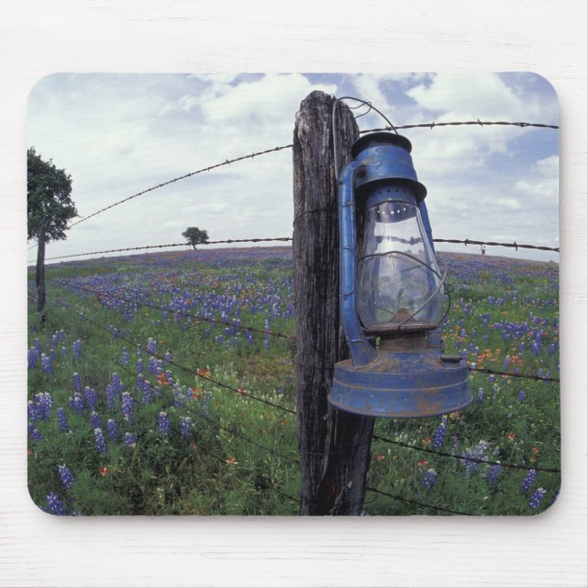 N.A., USA, Texas, Llano, Blue Lantern, Oak tree Mouse Pad (Front)