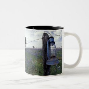 N.A., USA, Texas, Llano, Blue Lantern, Oak tree Two-Tone Coffee Mug