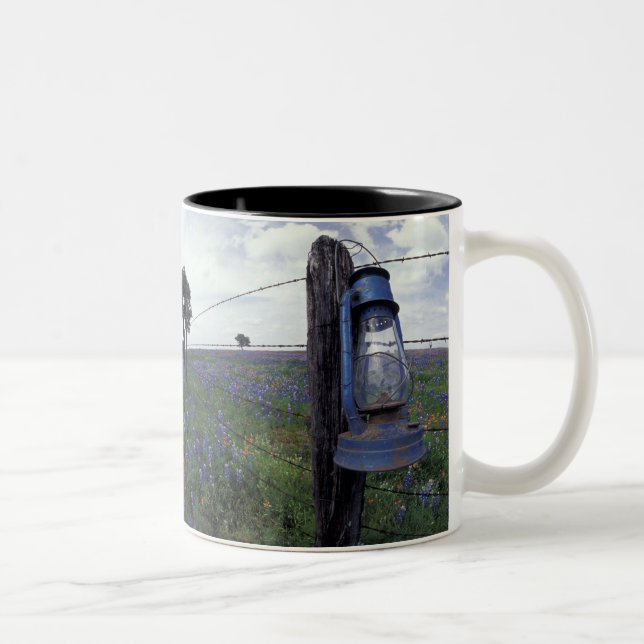 N.A., USA, Texas, Llano, Blue Lantern, Oak tree Two-Tone Coffee Mug (Right)