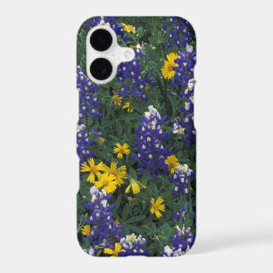 N.A, USA, Texas, Marble Falls, Blue Bonnets