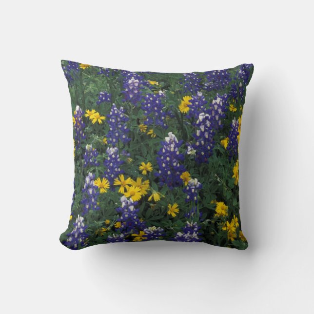 N.A, USA, Texas, Marble Falls, Blue Bonnets Cushion (Front)