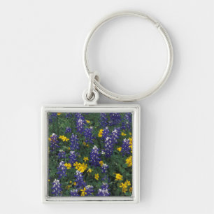 N.A, USA, Texas, Marble Falls, Blue Bonnets Key Ring