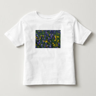 N.A, USA, Texas, Marble Falls, Blue Bonnets Toddler T-Shirt