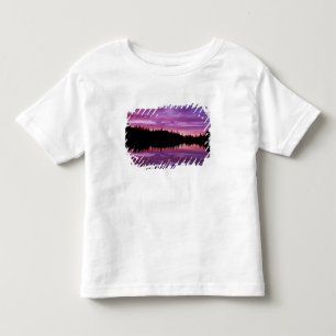 N.A., USA, Washington, Mt. Rainier National 2 Toddler T-Shirt