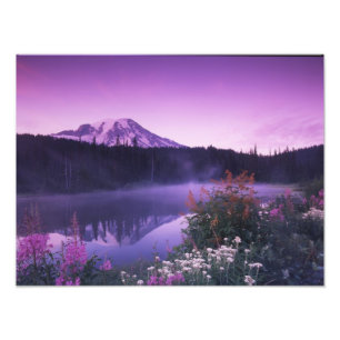N.A., USA, Washington, Mt. Rainier National Photo Print
