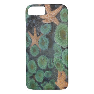N.A., USA, Washington, Olympic National Park Case-Mate iPhone Case