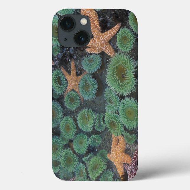 N.A., USA, Washington, Olympic National Park Case-Mate iPhone Case (Back)