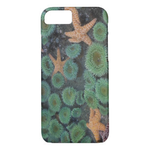 N.A., USA, Washington, Olympic National Park Case-Mate iPhone Case
