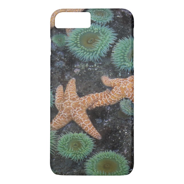 N.A., USA, Washington, Olympic National Park Case-Mate iPhone Case (Back)