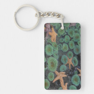 N.A., USA, Washington, Olympic National Park Key Ring