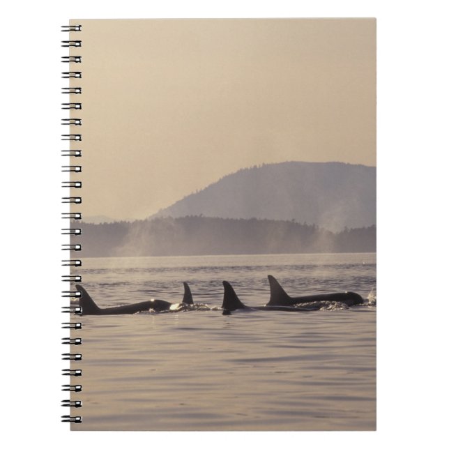N.A., USA, Washington, San Juan Islands Orca Notebook (Front)