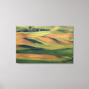 N.A., USA, Washington, Whitman County. Canvas Print