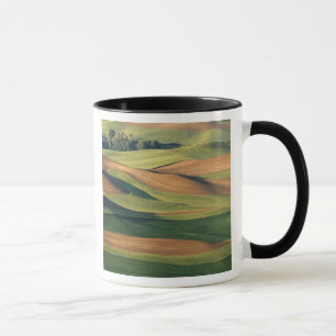 N.A., USA, Washington, Whitman County. Mug