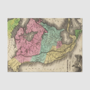 N America Tissue Paper