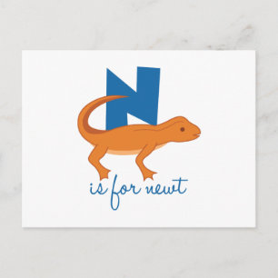 N Is For Newt Postcard