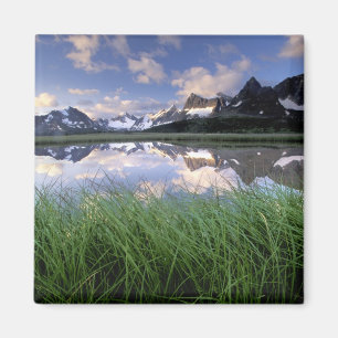 NA, Canada, Alberta, Tonquin Valley. Jasper Magnet