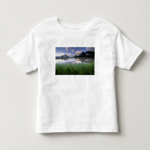 NA, Canada, Alberta, Tonquin Valley. Jasper Toddler T-Shirt