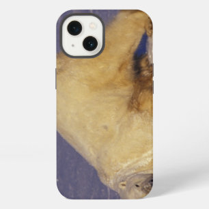 NA, Canada, Manitoba, Churchill, Polar bear iPhone 13 Case