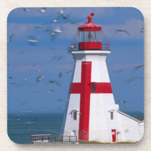 NA, Canada, New Brunswick, Campobello Island. 8 Coaster