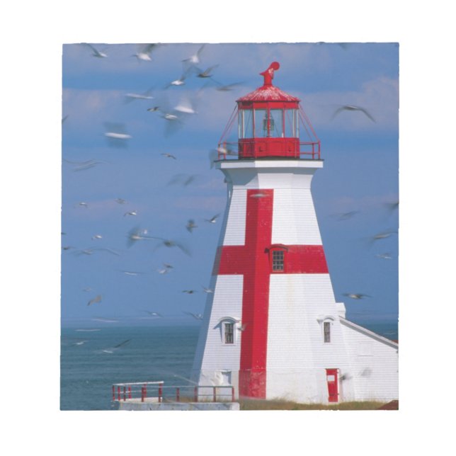 NA, Canada, New Brunswick, Campobello Island. 8 Notepad (Front)