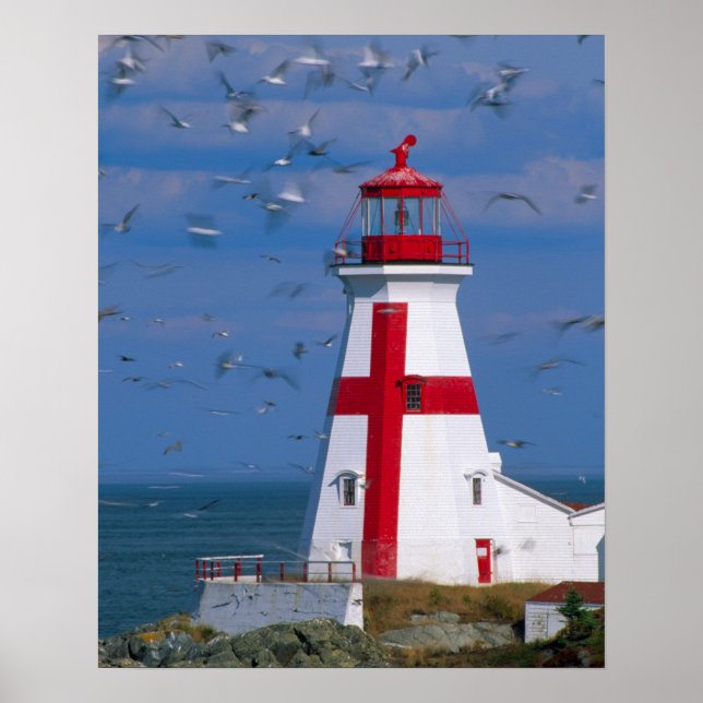 NA, Canada, New Brunswick, Campobello Island. 8 Poster (Front)