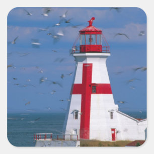 NA, Canada, New Brunswick, Campobello Island. 8 Square Sticker