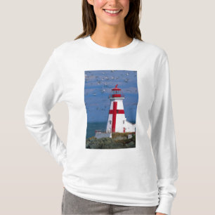 NA, Canada, New Brunswick, Campobello Island. 8 T-Shirt