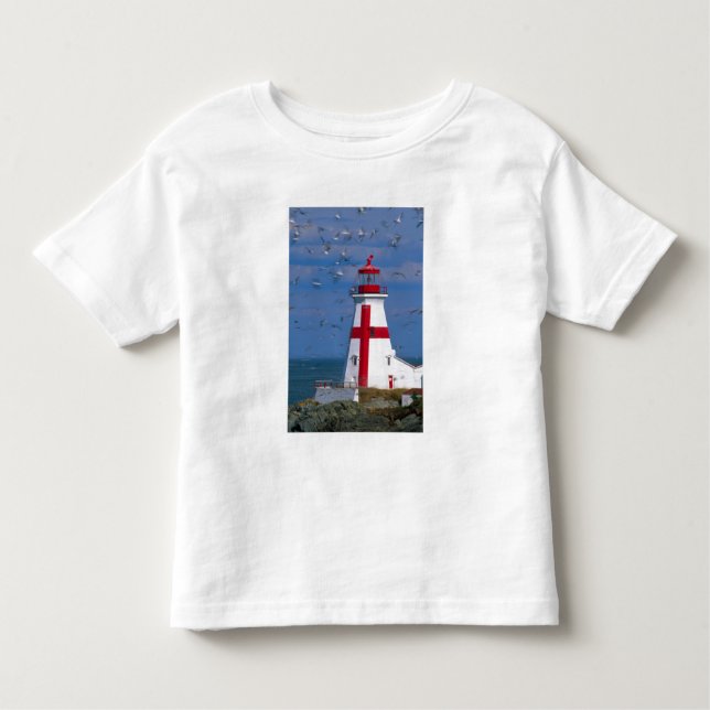 NA, Canada, New Brunswick, Campobello Island. 8 Toddler T-Shirt (Front)