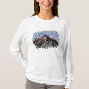 NA, Canada, New Brunswick, Shediak, World's T-Shirt