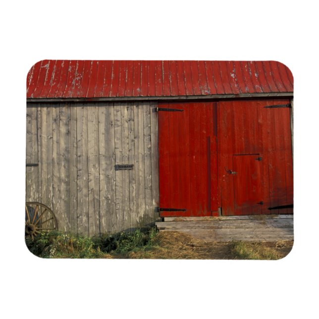 NA, Canada, New Brunswick, Shepody. Red barn Magnet (Horizontal)