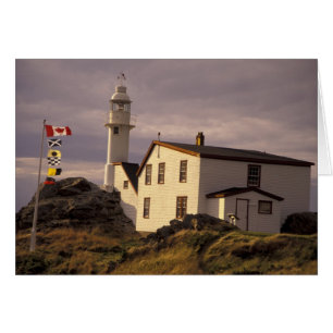 NA, Canada, Newfoundland, Lobster Cove. Lobster