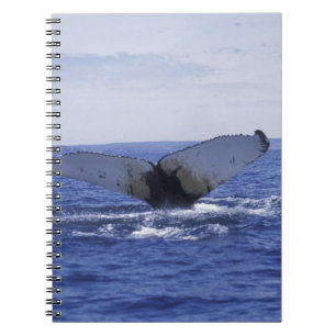 NA, Canada, Newfoundland, Trinity Bay. Humpback Spiral Notebook