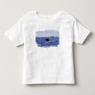 NA, Canada, Newfoundland, Trinity Bay. Humpback Toddler T-Shirt