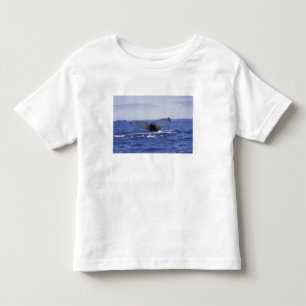NA, Canada, Newfoundland, Trinity Bay. Humpback Toddler T-Shirt