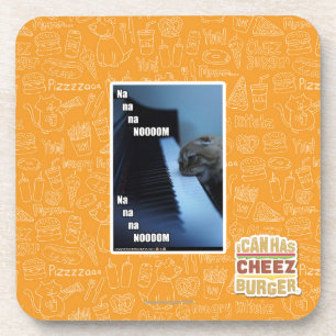 Na na na nooom coaster