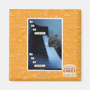 Na na na nooom magnet