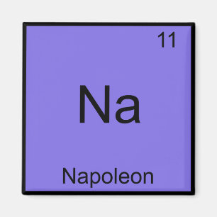 Na - Napoleon Funny Chemistry Element Symbol Tee Magnet