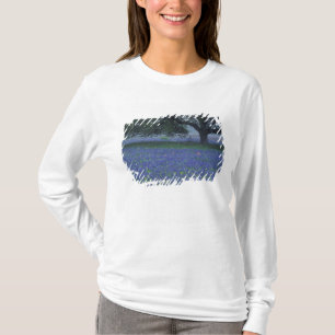 NA, Texas, Devine, Oak and blue bonnets T-Shirt