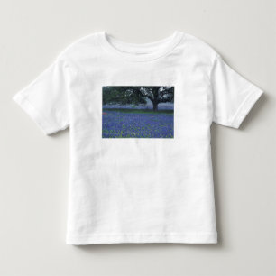 NA, Texas, Devine, Oak and blue bonnets Toddler T-Shirt
