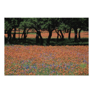 NA, Texas, Texas Hill Country, Buchan Dam, Photo Print