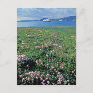 NA, USA, Alaska, Aleutian Island, Scenic with Postcard