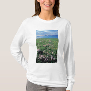 NA, USA, Alaska, Aleutian Island, Scenic with T-Shirt