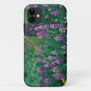 NA, USA, Alaska, Aleutian Islands, Unalaska, Case-Mate iPhone Case
