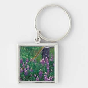 NA, USA, Alaska, Aleutian Islands, Unalaska, Key Ring