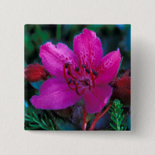 NA, USA, Alaska, Aleutian Islands, Wildflowers 15 Cm Square Badge