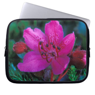 NA, USA, Alaska, Aleutian Islands, Wildflowers Laptop Sleeve