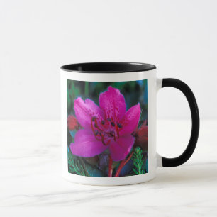NA, USA, Alaska, Aleutian Islands, Wildflowers Mug