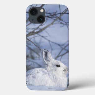 NA, USA, Alaska. Arctic National Wildlife iPhone 13 Case