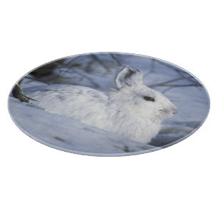 NA, USA, Alaska. Arctic National Wildlife Cutting Board