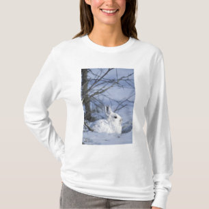 NA, USA, Alaska. Arctic National Wildlife T-Shirt
